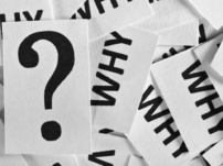 The Great Exodus: Why India’s Youth is Leaving in Droves